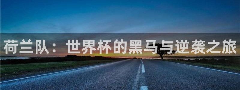 2026世界杯中国队：荷兰队：世界杯的黑马与逆袭之旅
