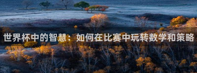 世界杯预选赛欧洲赛区积分榜：世界杯中的智慧：如何在比赛中玩转数学和策略