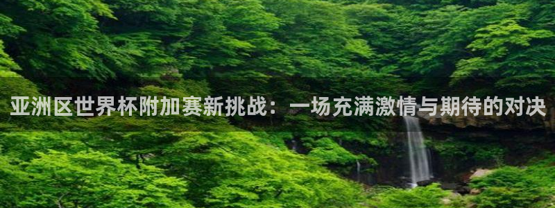 世界杯预选赛赛程表：亚洲区世界杯附加赛新挑战：一场充满激情与期待的对决