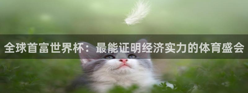 世界杯预选赛欧洲区赛程：全球首富世界杯：最能证明经济实力的体育盛会