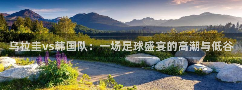 2026世预赛赛程：乌拉圭vs韩国队：一场足球盛宴的高潮与低谷