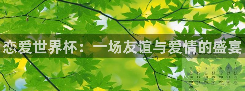 世界杯预选赛欧洲赛区赛程：恋爱世界杯：一场友谊与爱情的盛宴