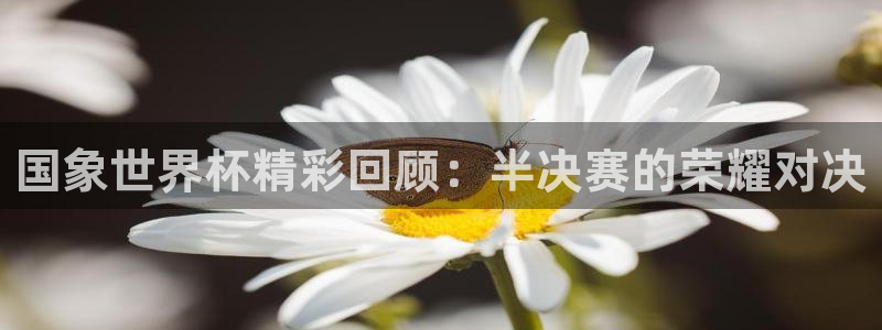 女足世界杯赛程：国象世界杯精彩回顾：半决赛的荣耀对决