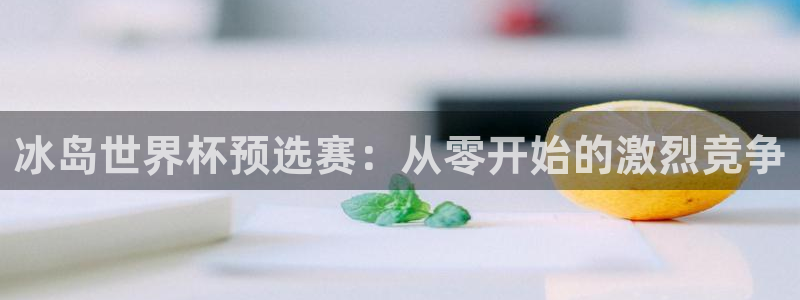 世界杯球赛：冰岛世界杯预选赛：从零开始的激烈竞争