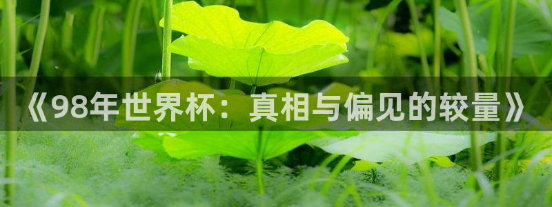 世界杯官网入口：《98年世界杯：真相与偏见的较量》