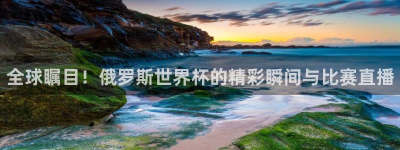 女足世界杯直播在线观看免费高清:全球瞩目!俄罗斯世界杯的精彩瞬间与比赛直播
