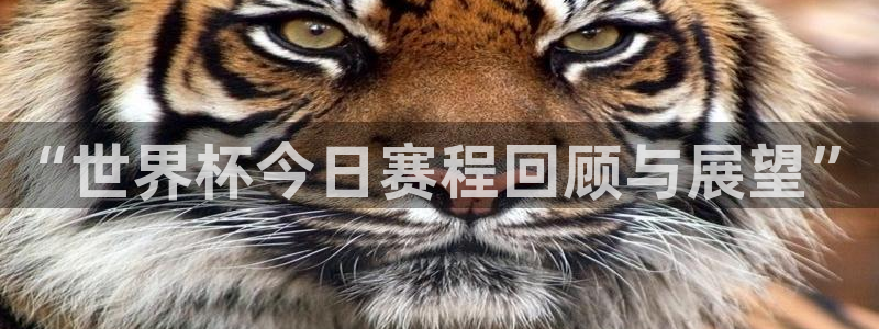 2026世界杯足球赛程时间表：“世界杯今日赛程回顾与展望”