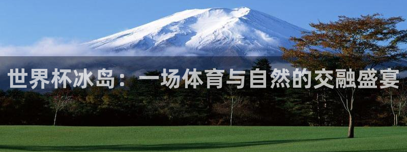 足球世界杯：世界杯冰岛：一场体育与自然的交融盛宴