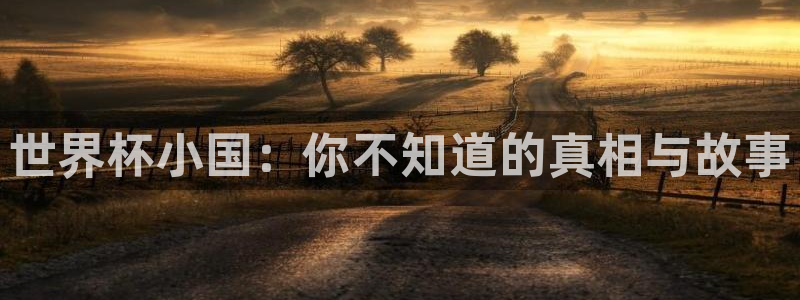 世界杯足球2026：世界杯小国：你不知道的真相与故事