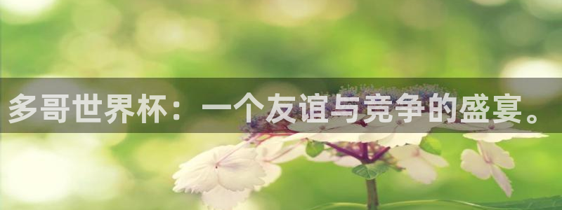 世界杯决赛预测：多哥世界杯：一个友谊与竞争的盛宴。