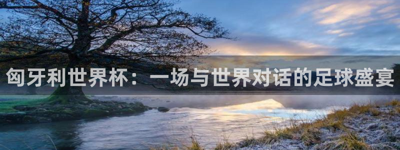 2026世界杯赛制：匈牙利世界杯：一场与世界对话的足球盛宴