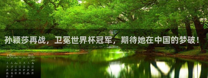 世界杯足球赛2026：孙颖莎再战，卫冕世界杯冠军，期待她在中国的梦破！