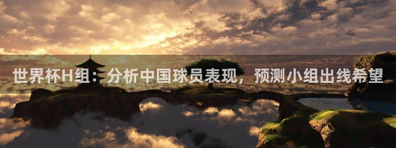 国际足联世界杯：世界杯H组：分析中国球员表现，预测小组出线希望