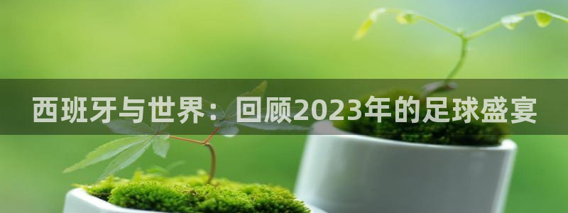世界杯2026赛制：西班牙与世界：回顾2023年的足球盛宴