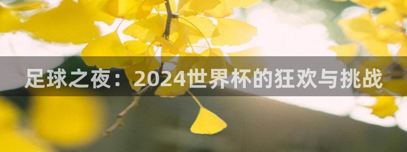 世界杯亚洲区预选赛赛程：足球之夜：2024世界杯的狂欢与挑战